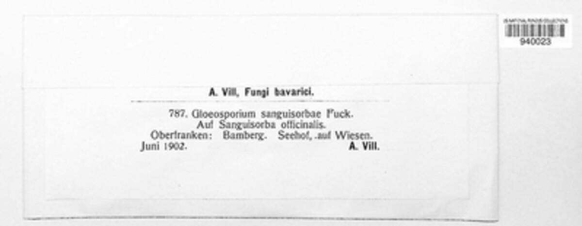 Gloeosporium sanguisorbae image